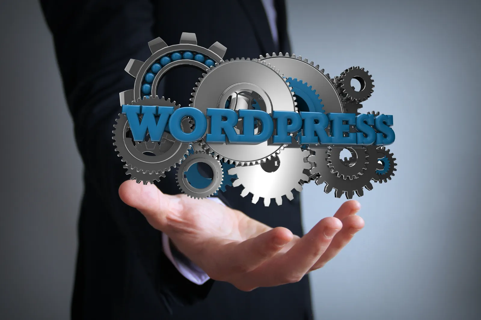 WordPress CMS